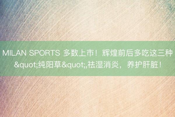 MILAN SPORTS 多数上市！辉煌前后多吃这三种"纯阳草",祛湿消炎，养护肝脏！
