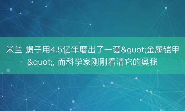 米兰 蝎子用4.5亿年磨出了一套"金属铠甲", 而科学家刚刚看清它的奥秘